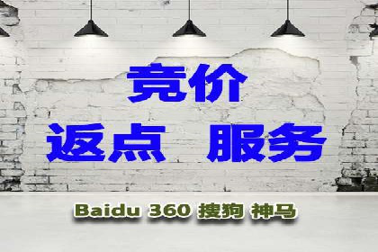 网络推广秘籍：竞价排名成功案例集锦